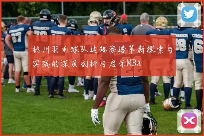 杭州羽毛球队边路渗透革新探索与实践的深度剖析与启示MBA