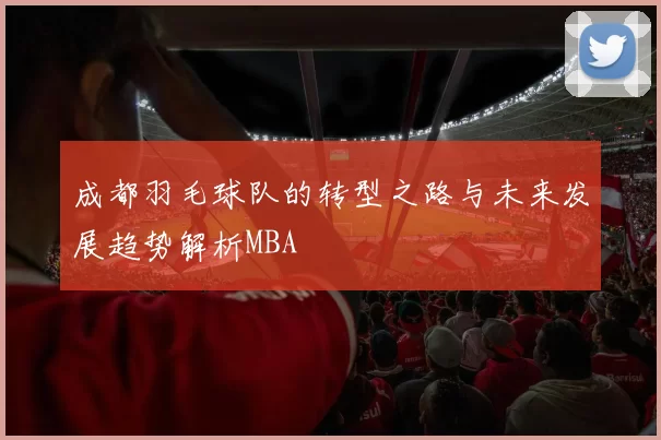 成都羽毛球队的转型之路与未来发展趋势解析MBA
